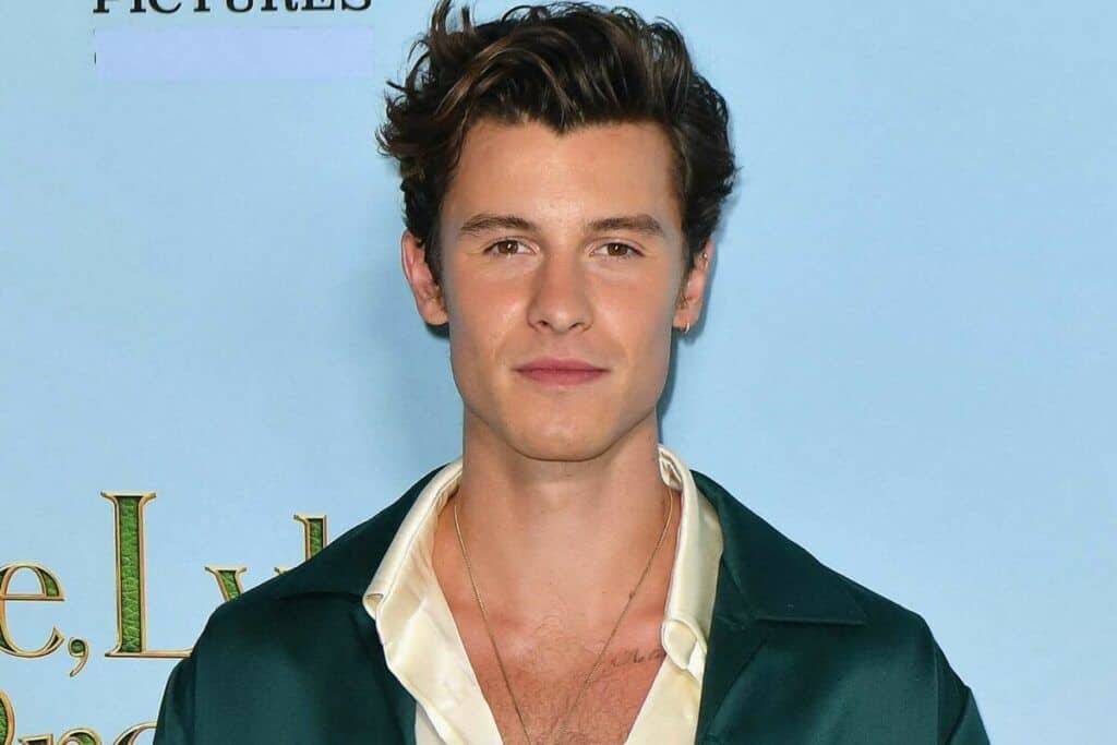 shawn mendes